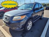 Pacific Blue Pearl Hyundai Santa Fe in 2010