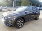 2024 Hyundai Tucson Portofino Gray