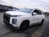2024 Hyundai Palisade Calligraphy Night Edition AWD Exterior