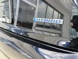 2023 Honda Accord EX-L Hybrid Marks and Logos