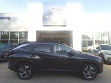 2024 Portofino Gray Hyundai Tucson SEL AWD #146606013