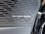 2024 Hyundai Palisade Limited AWD Audio System