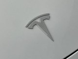 Tesla Badges and Logos