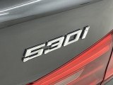 2020 BMW 5 Series 530i Sedan Marks and Logos