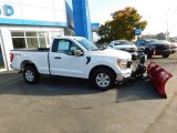 2021 Ford F150 XL Regular Cab 4x4 Plow Truck Exterior
