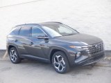 2024 Portofino Gray Hyundai Tucson Limited AWD #146667252