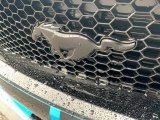 Ford Mustang 2022 Badges and Logos