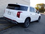 Hyper White Hyundai Palisade in 2024