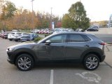 2024 Mazda CX-30 S Premium AWD Exterior