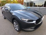 2024 Mazda CX-30 S Premium AWD Data, Info and Specs