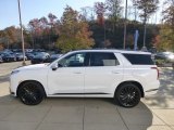 2024 Hyundai Palisade Calligraphy Night Edition AWD Exterior