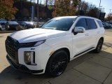 2024 Hyundai Palisade Calligraphy Night Edition AWD Front 3/4 View