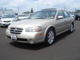 2003 Sunlit Sand Nissan Maxima GLE #14637221