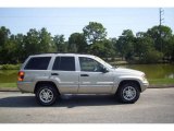 2004 Light Pewter Metallic Jeep Grand Cherokee Special Edition 4x4 #14648628