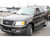 2006 Dark Stone Metallic Ford Expedition XLT 4x4 #14700569