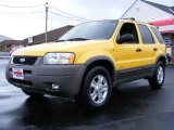 2001 Chrome Yellow Metallic Ford Escape XLT V6 4WD #14778348