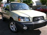 2003 Aspen White Subaru Forester 2.5 X #1251883