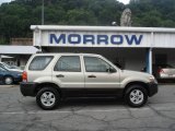 Gold Ash Metallic Ford Escape in 2006