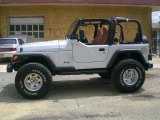 2002 Bright Silver Metallic Jeep Wrangler X 4x4 #14836939