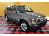 2006 Sterling Grey Metallic BMW X5 4.4i #14843554