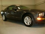 2008 Alloy Metallic Ford Mustang V6 Deluxe Coupe #14926483