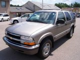 1999 Light Pewter Metallic Chevrolet Blazer LS 4x4 #15116068