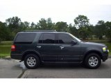 2009 Black Pearl Slate Metallic Ford Expedition XLT #15127700