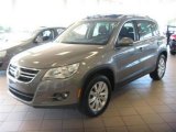 2009 Alpine Grey Metallic Volkswagen Tiguan SE #15206691