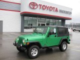 2004 Electric Lime Green Pearl Jeep Wrangler Unlimited 4x4 #15200670