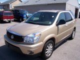 2006 Cashmere Metallic Buick Rendezvous CX #15265782