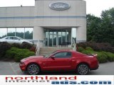 2010 Red Candy Metallic Ford Mustang GT Premium Coupe #15326518