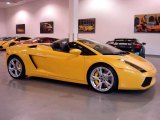 2008 Giallo Midas (Yellow) Lamborghini Gallardo Spyder #1532707