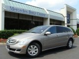 2007 Pewter Metallic Mercedes-Benz R 350 4Matic #15456118