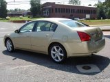 2004 Champagne Mist Metallic Nissan Maxima 3.5 SE #15459152