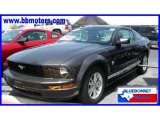 2009 Alloy Metallic Ford Mustang V6 Coupe #15474372