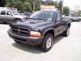 2003 Graphite Metallic Dodge Dakota SXT Regular Cab 4x4 #15504965