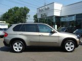 2009 BMW X5 xDrive30i