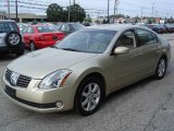 2004 Champagne Mist Metallic Nissan Maxima 3.5 SL #15520642