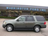 2004 Estate Green Metallic Ford Expedition XLT 4x4 #15577667