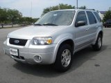 2005 Silver Metallic Ford Escape Limited 4WD #15573853