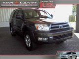 2005 Galactic Gray Mica Toyota 4Runner Limited #15580971