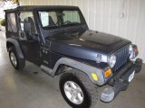2002 Steel Blue Pearl Jeep Wrangler X 4x4 #15718880