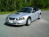 2004 Silver Metallic Ford Mustang GT Convertible #15781589