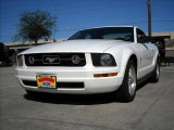2008 Performance White Ford Mustang V6 Premium Coupe #1533645