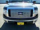 2010 Tuxedo Black Ford F150 XLT SuperCrew #15805013