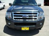 Black Pearl Slate Metallic Ford Expedition in 2009