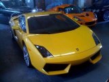 2009 Giallo Midas (Yellow) Lamborghini Gallardo LP560-4 Coupe #15969257