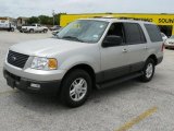 2006 Silver Birch Metallic Ford Expedition XLT #1532101