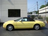 2002 Inspiration Yellow Ford Thunderbird Deluxe Roadster #16159277