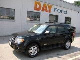2008 Black Ford Escape XLT 4WD #16100151